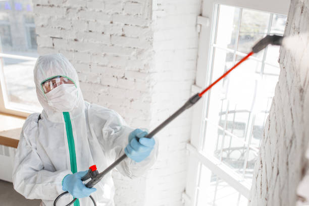 Best Emergency Mold Remediation  in Lawtey, FL