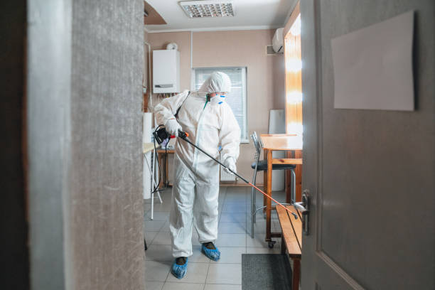 Best Environmental Consulting for Mold Prevention  in Lawtey, FL