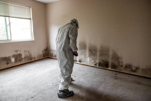 Best Biohazard Mold Removal  in Lawtey, FL